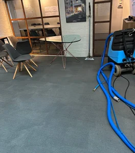 Explore Our Gallery | 4 Seasons Carpet Clean's Expert Cleaning Services