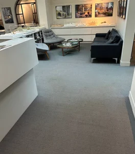 Explore Our Gallery | 4 Seasons Carpet Clean's Expert Cleaning Services