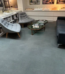 Explore Our Gallery | 4 Seasons Carpet Clean's Expert Cleaning Services