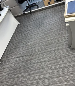 Explore Our Gallery | 4 Seasons Carpet Clean's Expert Cleaning Services