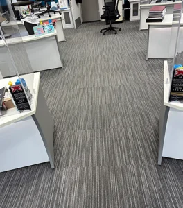 Explore Our Gallery | 4 Seasons Carpet Clean's Expert Cleaning Services