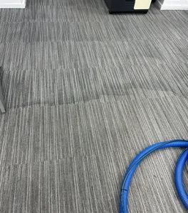 Explore Our Gallery | 4 Seasons Carpet Clean's Expert Cleaning Services