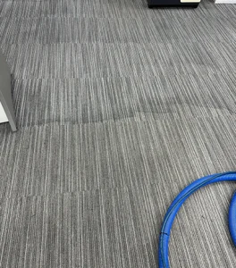 Explore Our Gallery | 4 Seasons Carpet Clean's Expert Cleaning Services