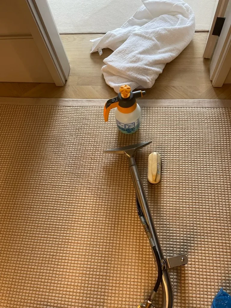 Expert Stain Removal Solutions for Your London Home