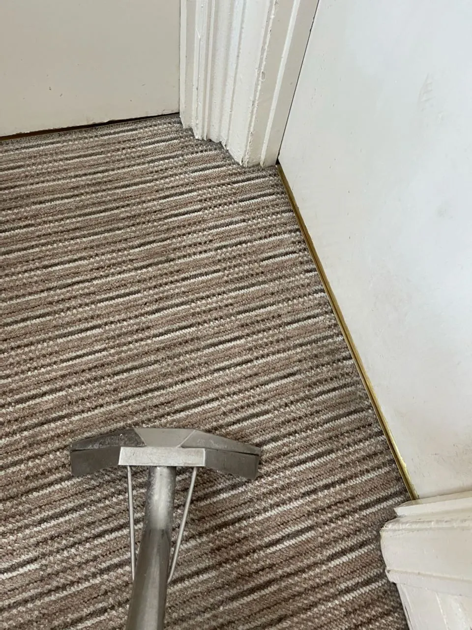Expert Stain Removal Solutions for Your London Home