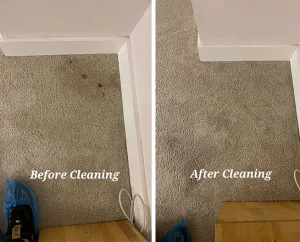 Explore Our Gallery | 4 Seasons Carpet Clean's Expert Cleaning Services