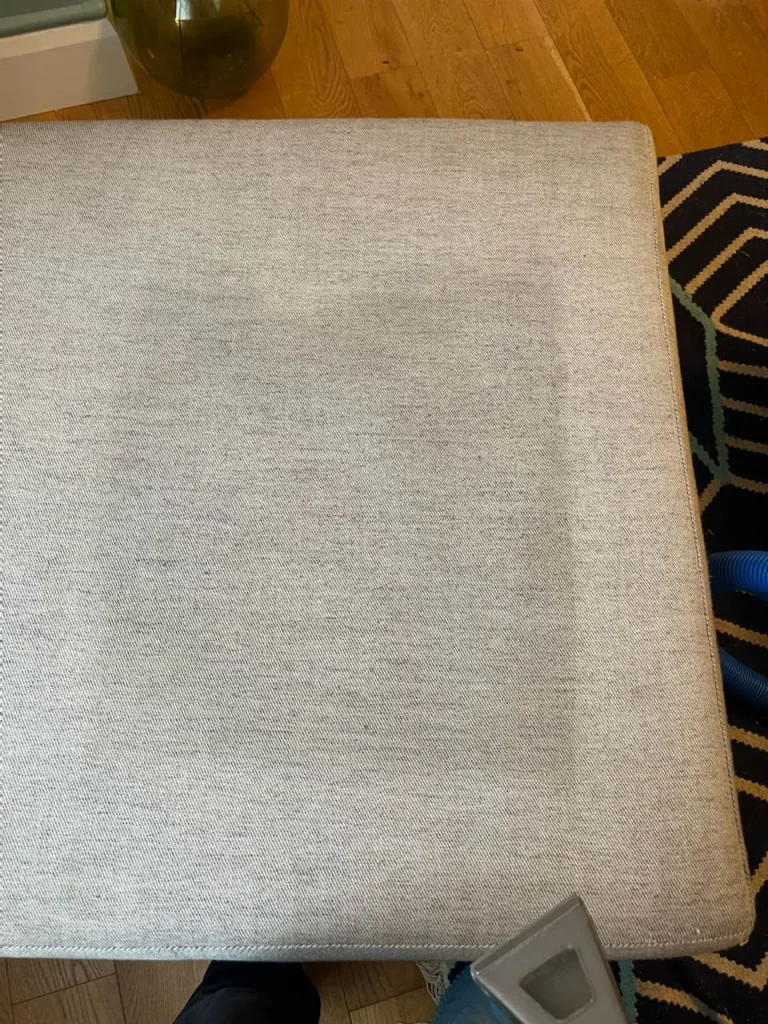 A technician using steam cleaning equipment to remove a stain from a rug