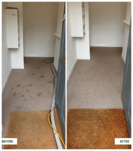 Explore Our Gallery | 4 Seasons Carpet Clean's Expert Cleaning Services
