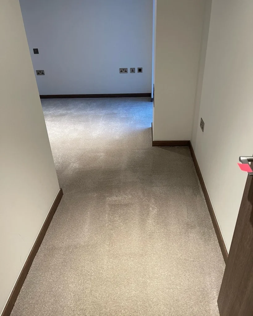 dry carpet cleaning services in London
