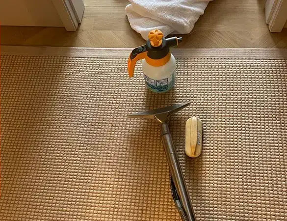 About 4 Season Carpet Clean