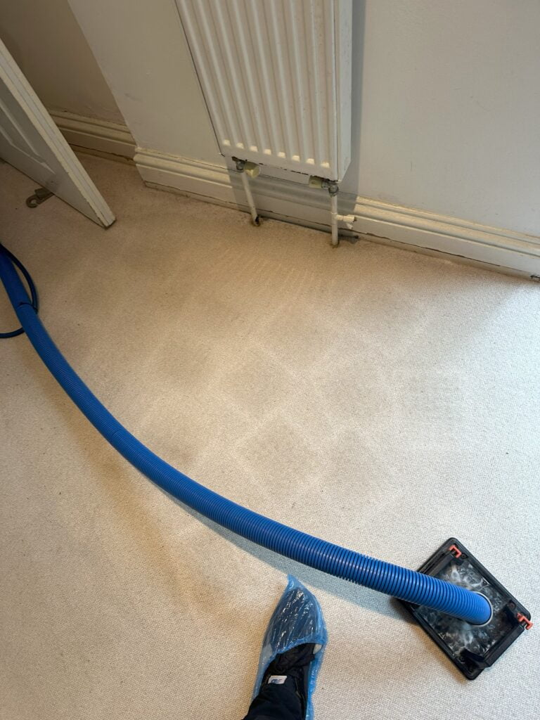 carpet steam cleaners - clean carpet with steam