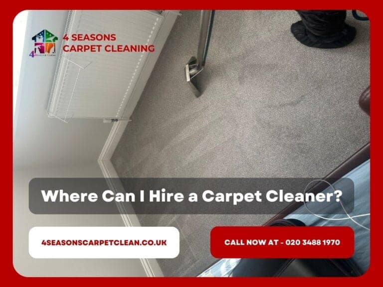 Where Can I Hire a Carpet Cleaner? 2025 Comprehensive Guide